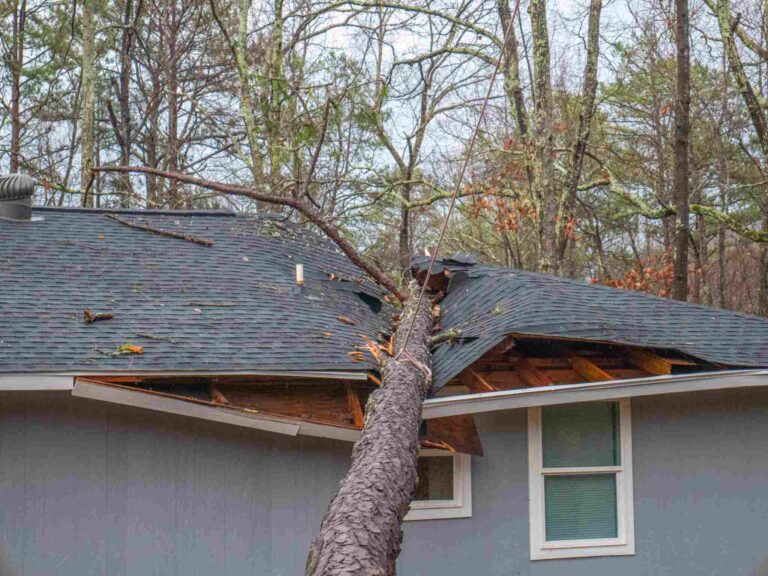 Fallen tree crashing through Asheville home roof during storm requiring emergency storm damage restoration and roof repair by Paul Davis Restoration